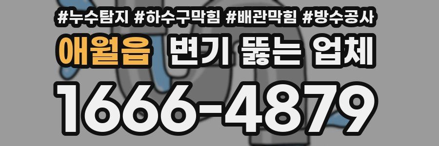 애월읍 변기 뚫는 업체