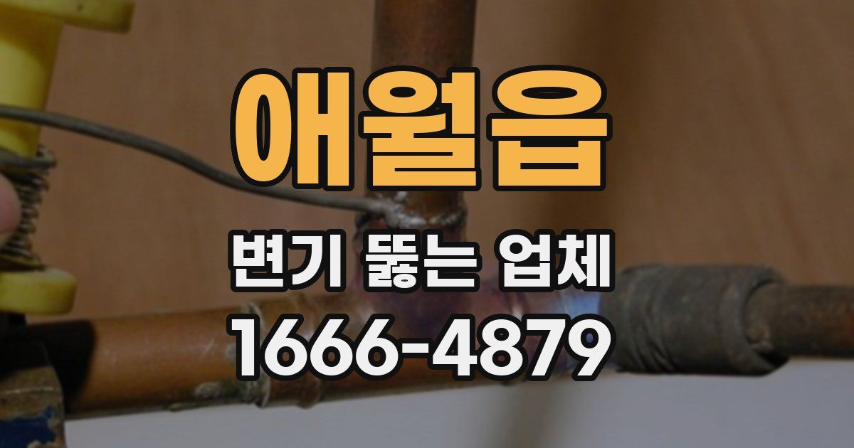 애월읍 변기 뚫는 업체