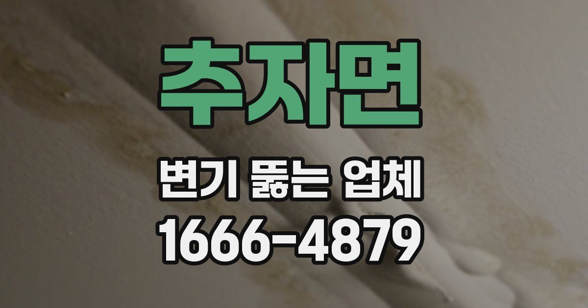추자면 변기 뚫는 업체