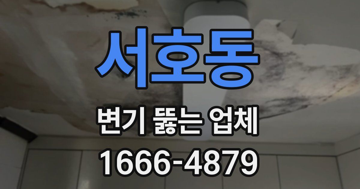 서호동 변기 뚫는 업체