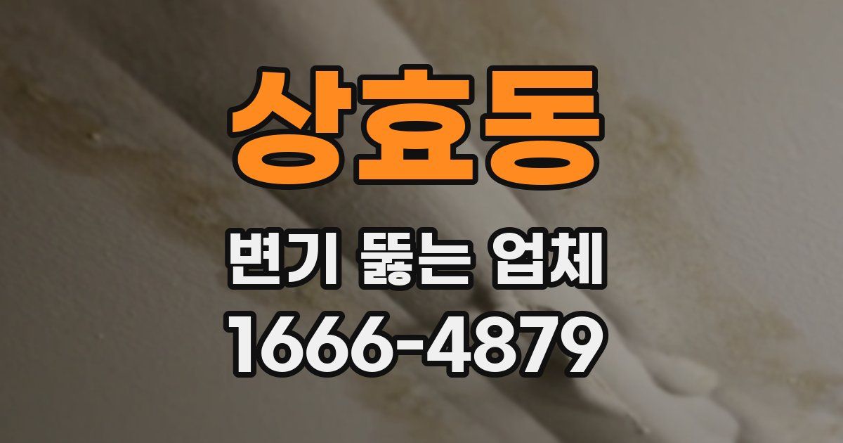 상효동 변기 뚫는 업체