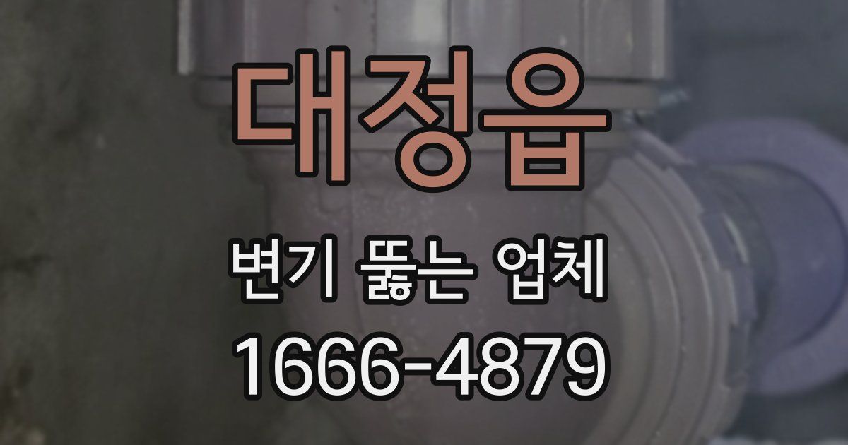 대정읍 변기 뚫는 업체
