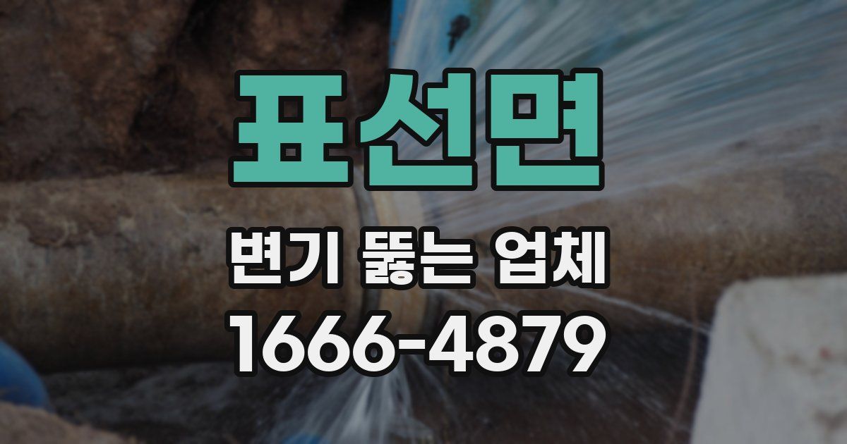 표선면 변기 뚫는 업체