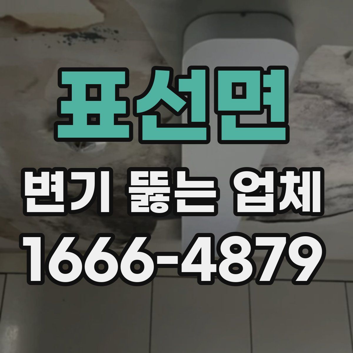 표선면 변기 뚫는 업체