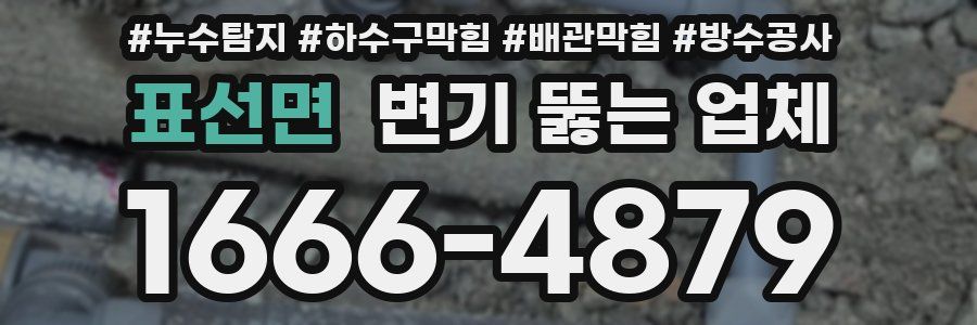 표선면 변기 뚫는 업체