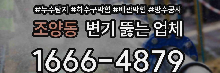 조양동 변기 뚫는 업체