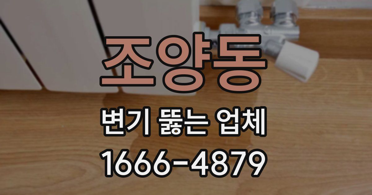조양동 변기 뚫는 업체