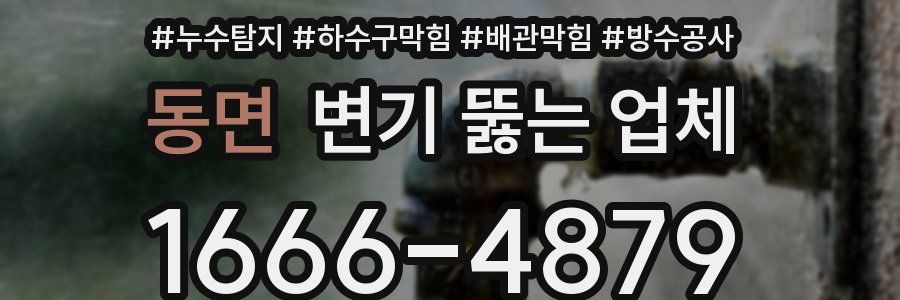 동면 변기 뚫는 업체