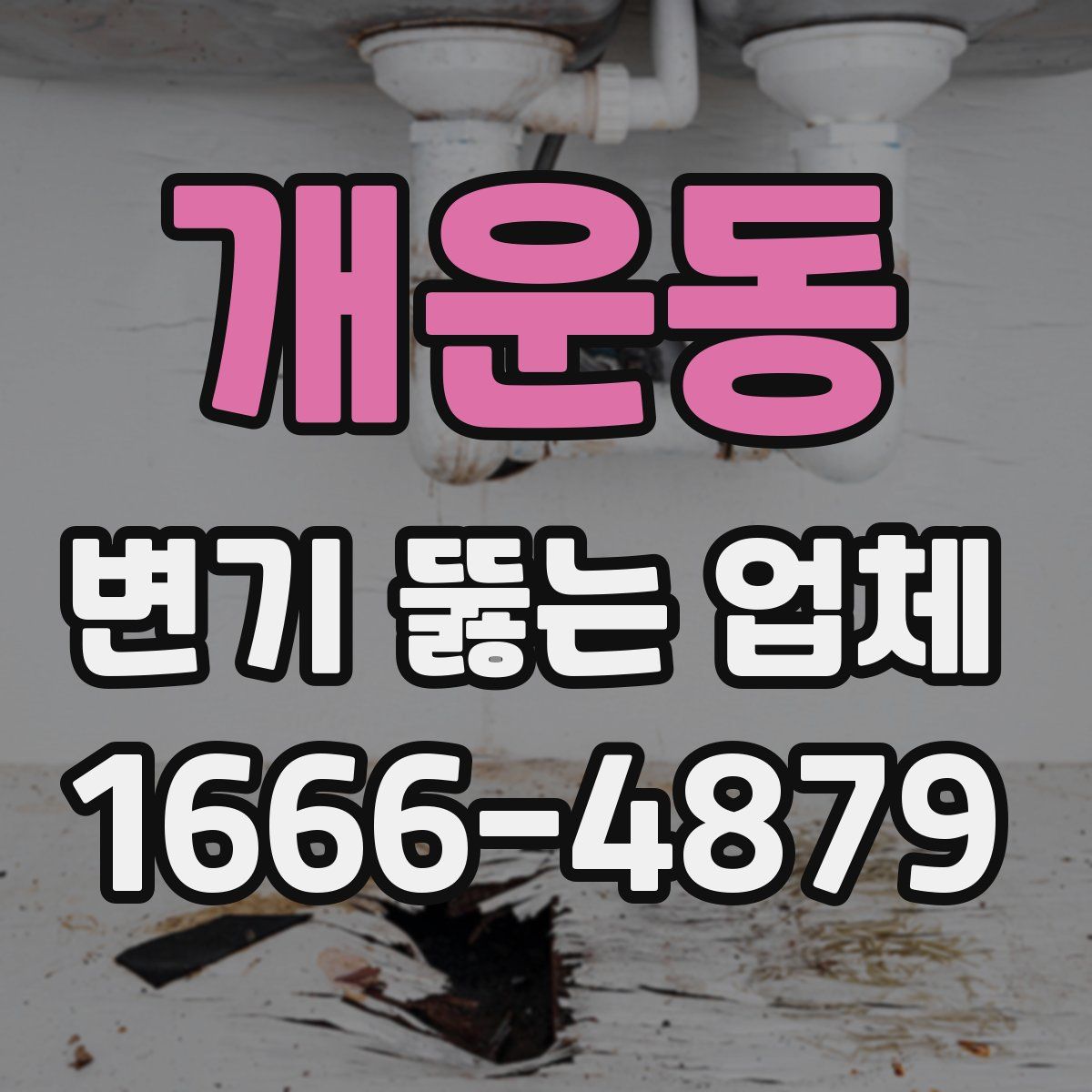 개운동 변기 뚫는 업체