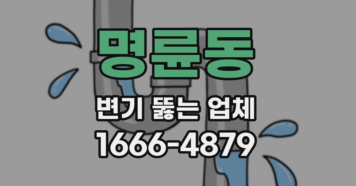 명륜동 변기 뚫는 업체