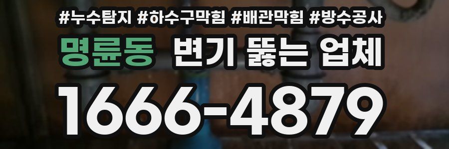 명륜동 변기 뚫는 업체