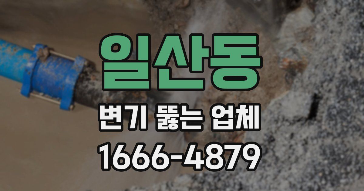 일산동 변기 뚫는 업체
