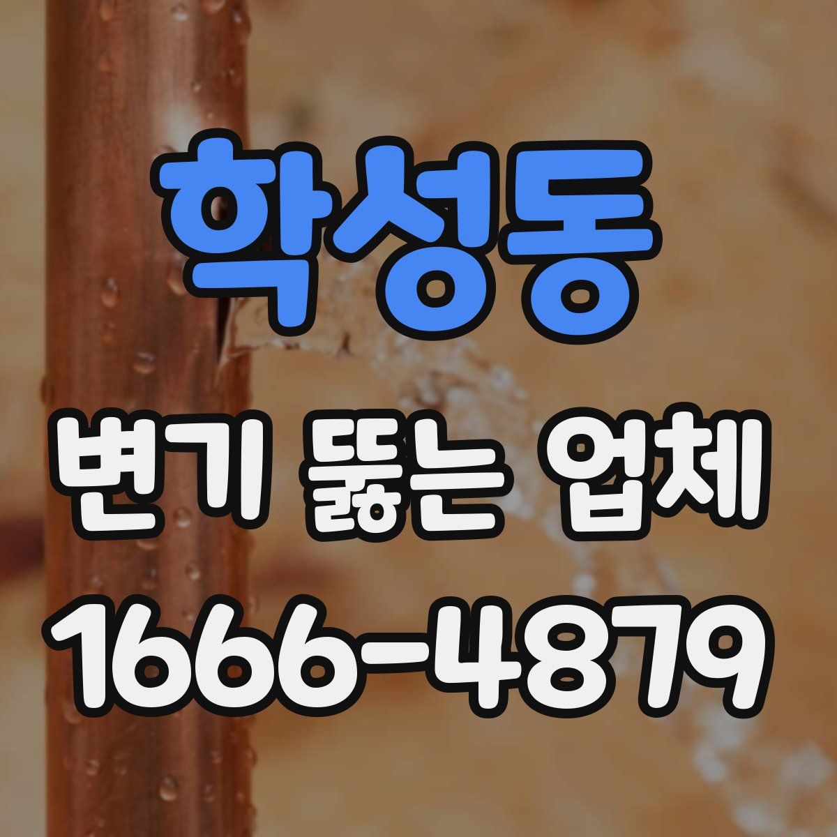 학성동 변기 뚫는 업체