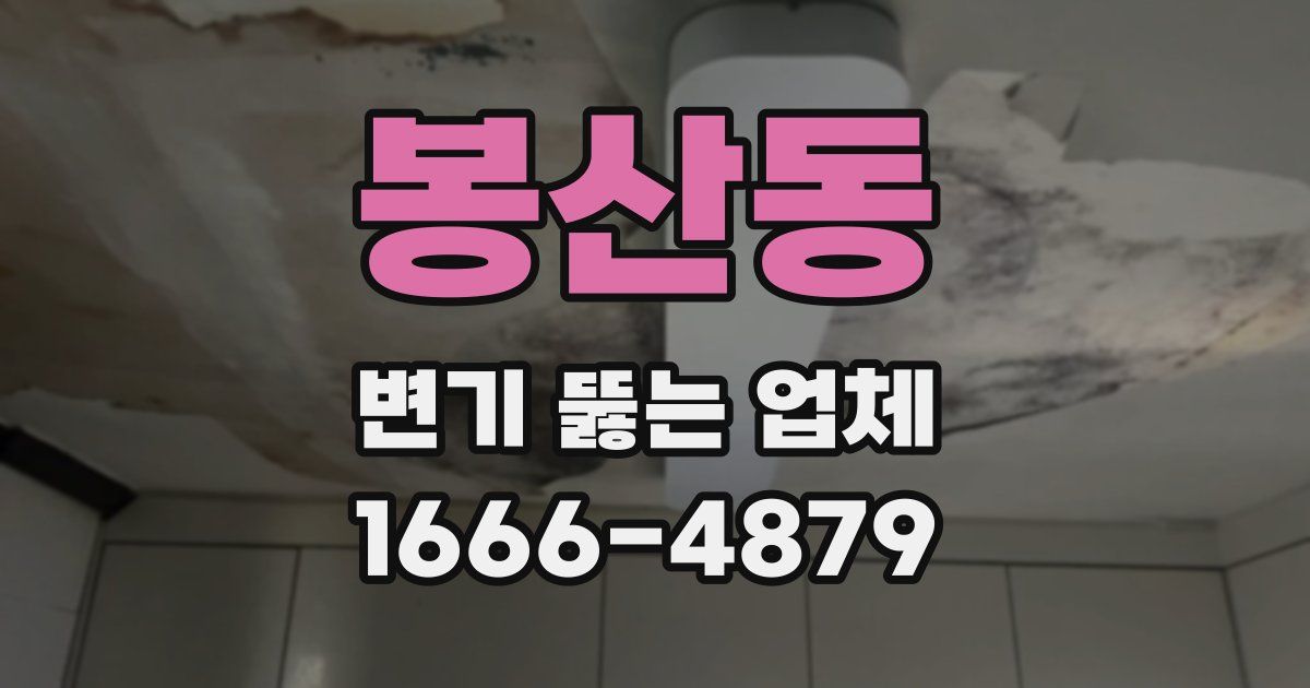 봉산동 변기 뚫는 업체