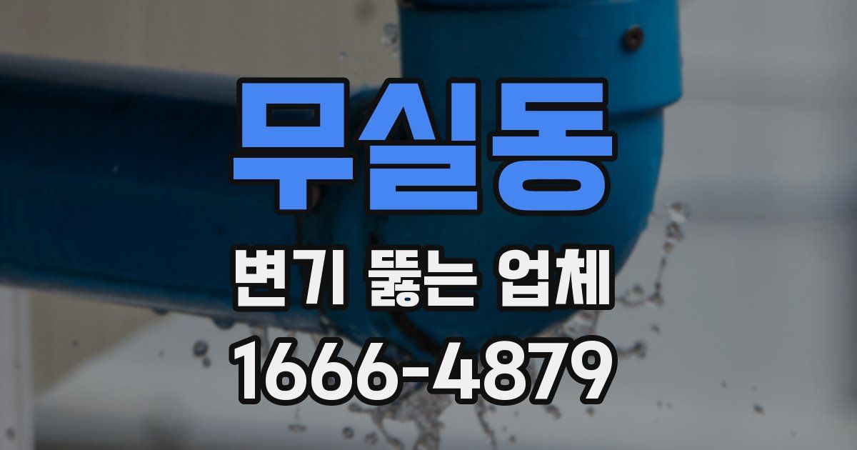 무실동 변기 뚫는 업체