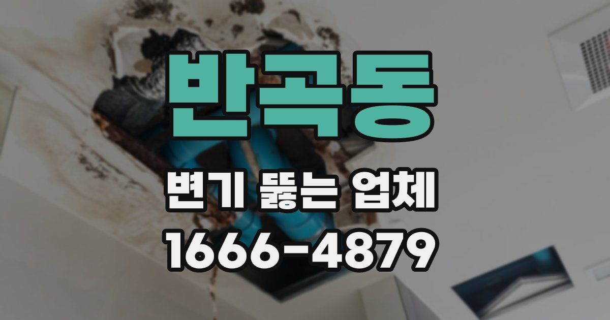 반곡동 변기 뚫는 업체