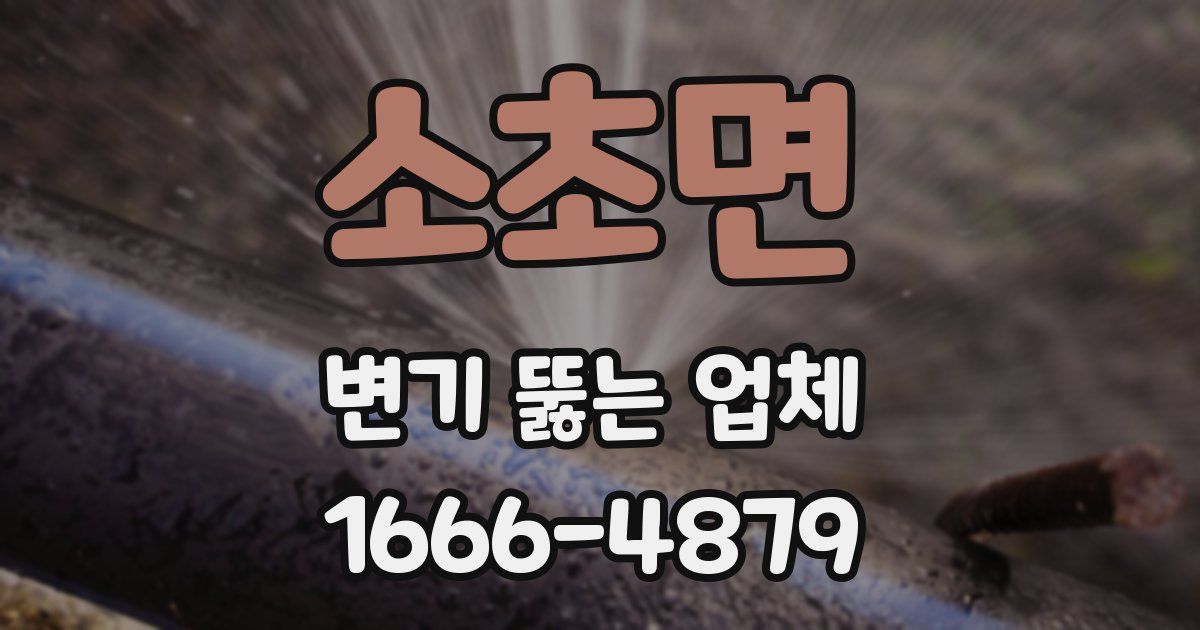 소초면 변기 뚫는 업체