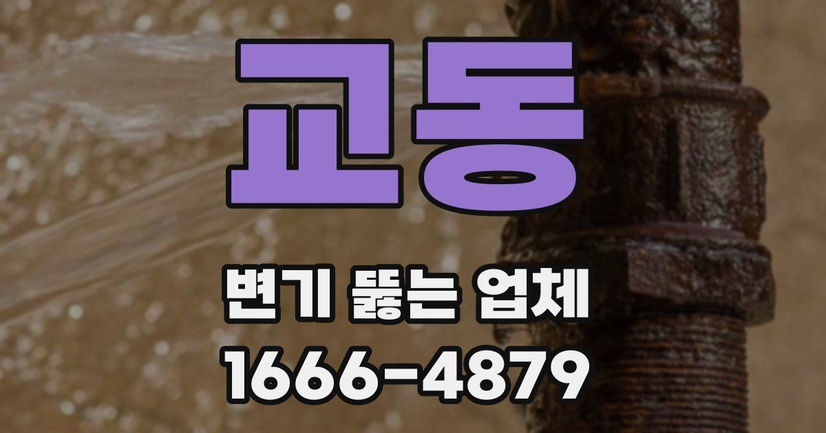 교동 변기 뚫는 업체