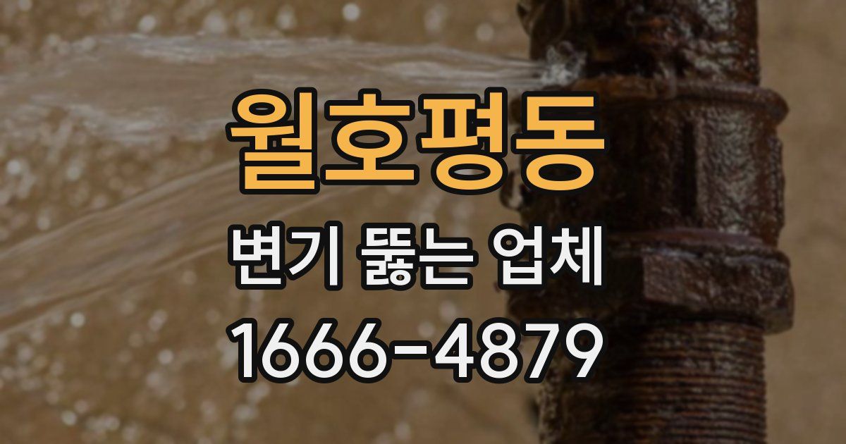 월호평동 변기 뚫는 업체