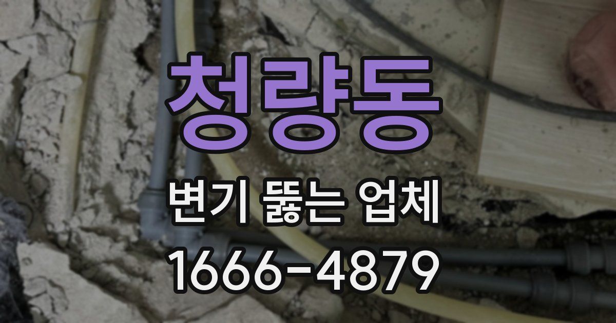 청량동 변기 뚫는 업체