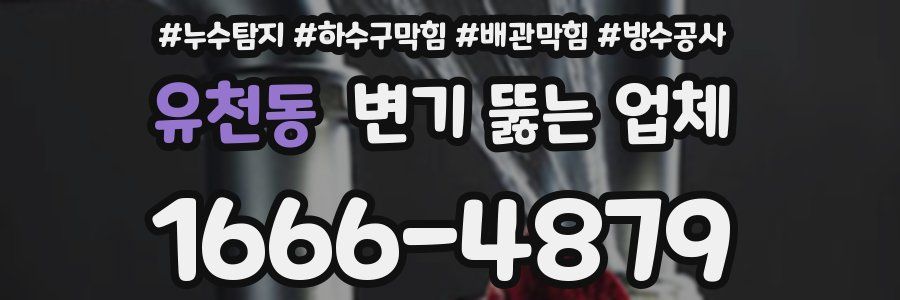 유천동 변기 뚫는 업체