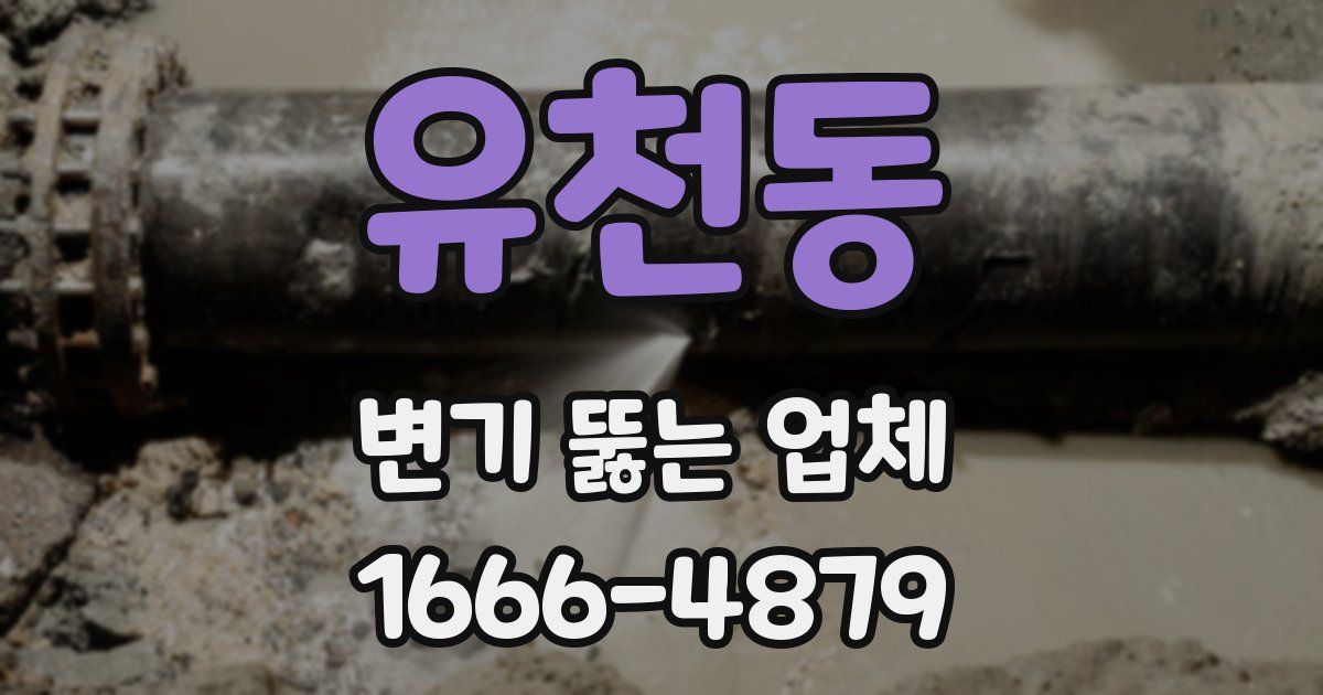 유천동 변기 뚫는 업체