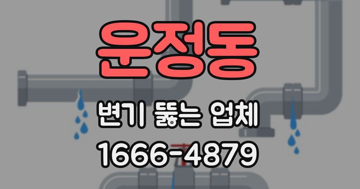 운정동 변기 뚫는 업체