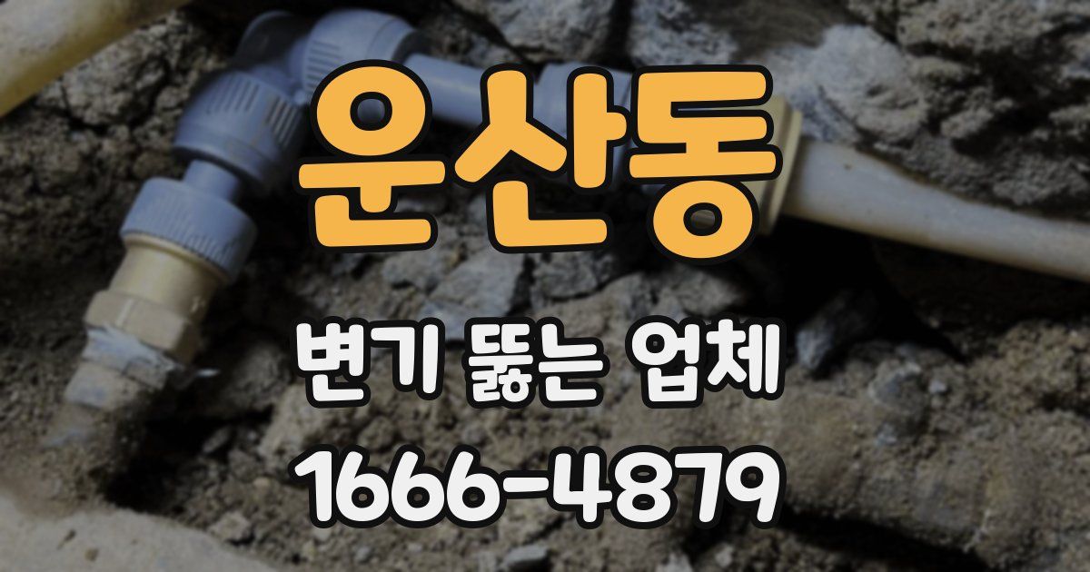 운산동 변기 뚫는 업체
