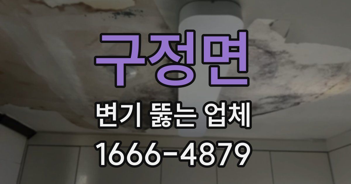 구정면 변기 뚫는 업체