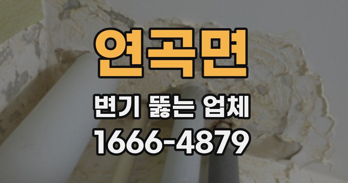 연곡면 변기 뚫는 업체