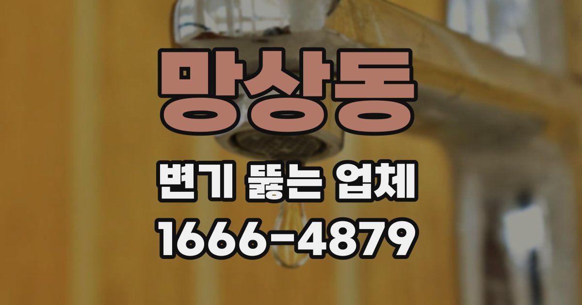 망상동 변기 뚫는 업체