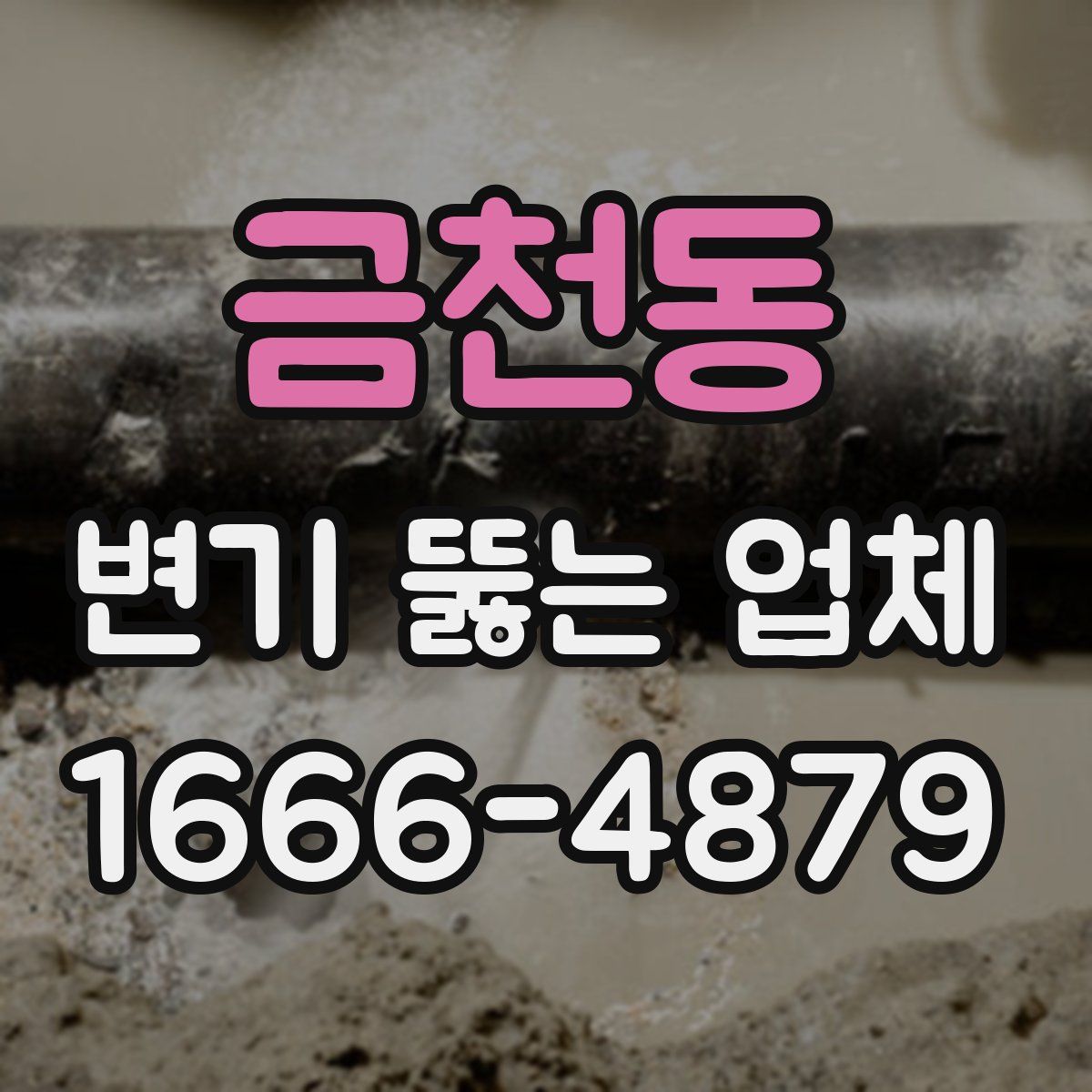 금천동 변기 뚫는 업체