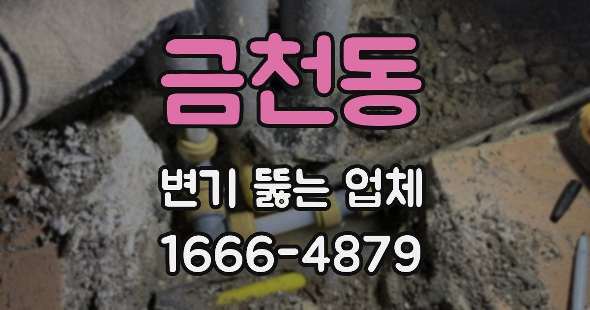 금천동 변기 뚫는 업체