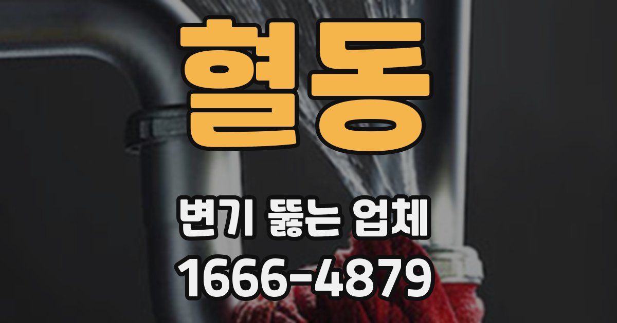 혈동 변기 뚫는 업체