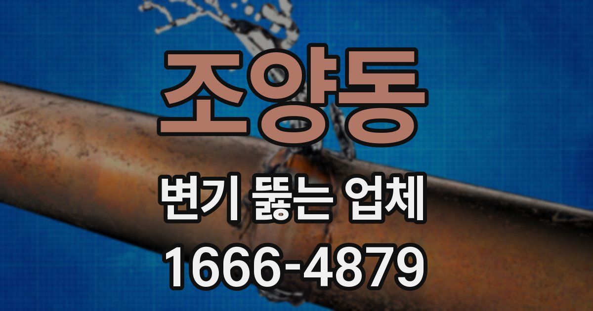 조양동 변기 뚫는 업체