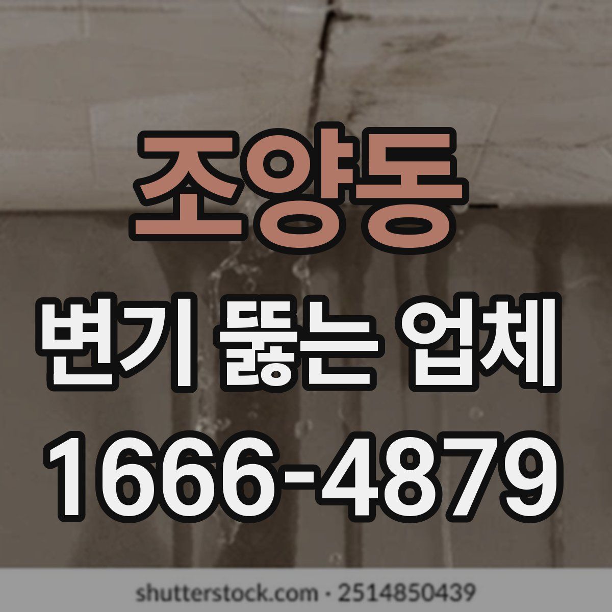 조양동 변기 뚫는 업체