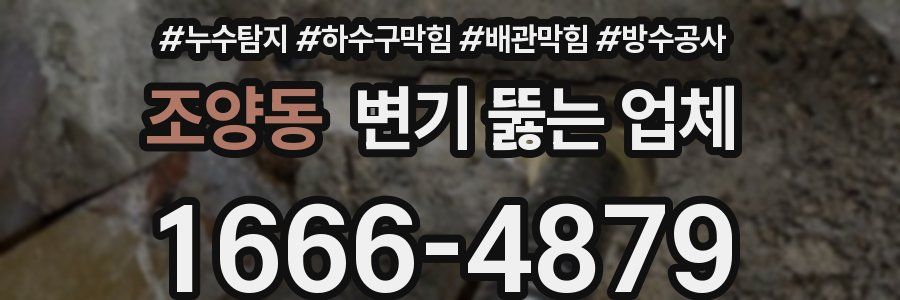 조양동 변기 뚫는 업체