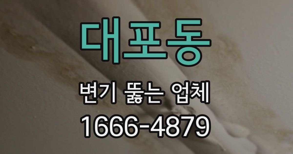 대포동 변기 뚫는 업체