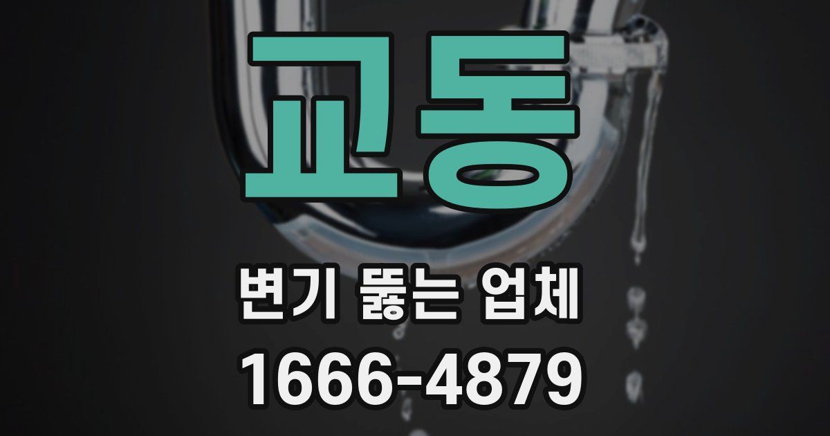 교동 변기 뚫는 업체