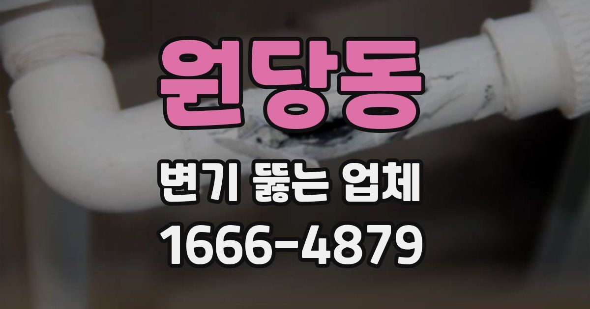 원당동 변기 뚫는 업체