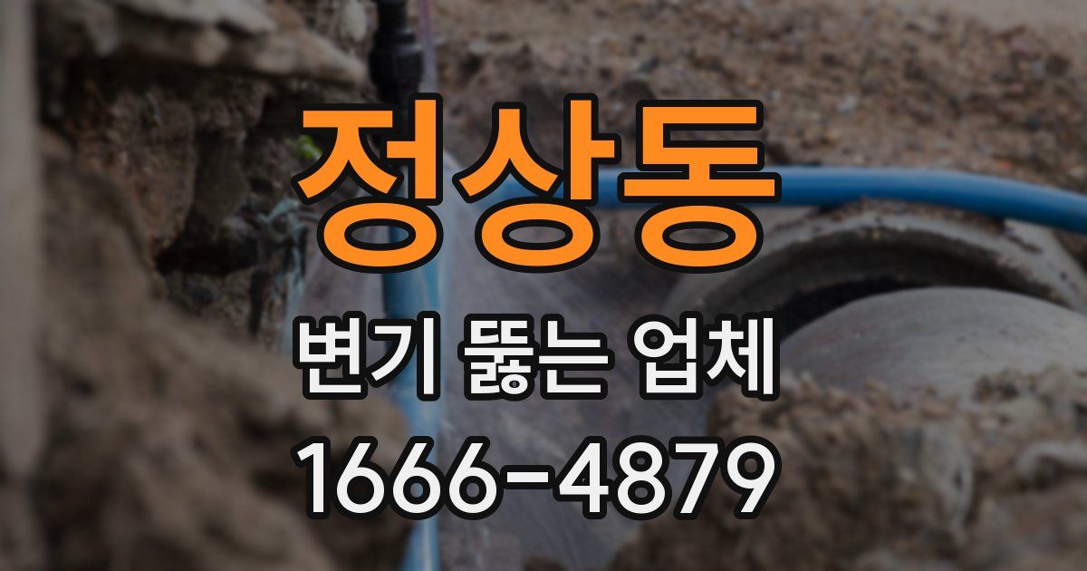 정상동 변기 뚫는 업체