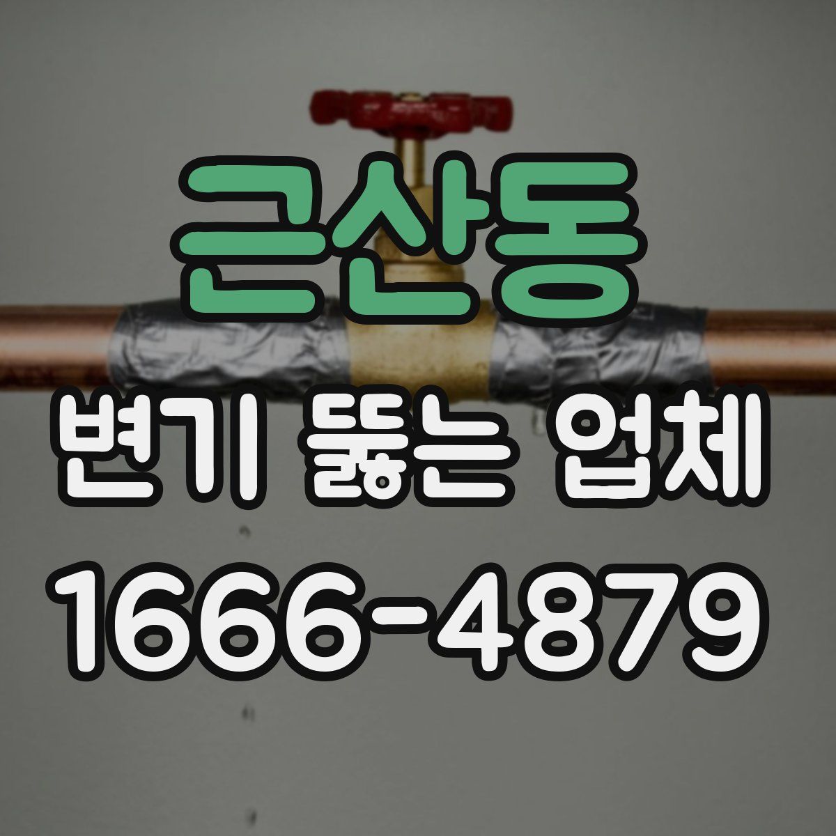 근산동 변기 뚫는 업체