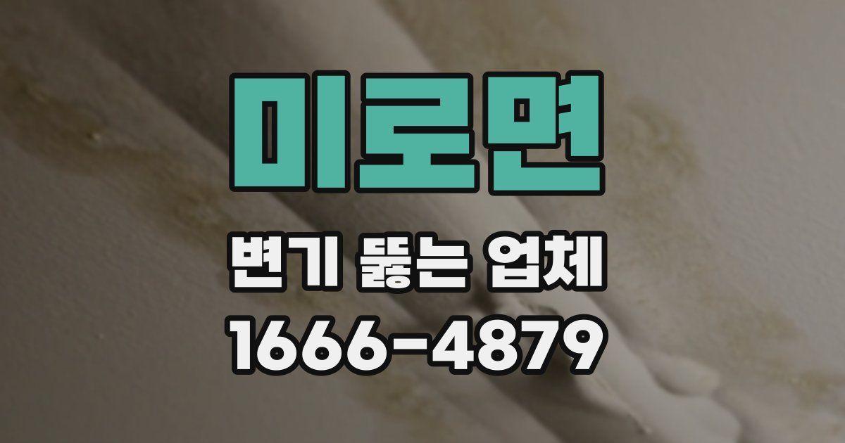 미로면 변기 뚫는 업체