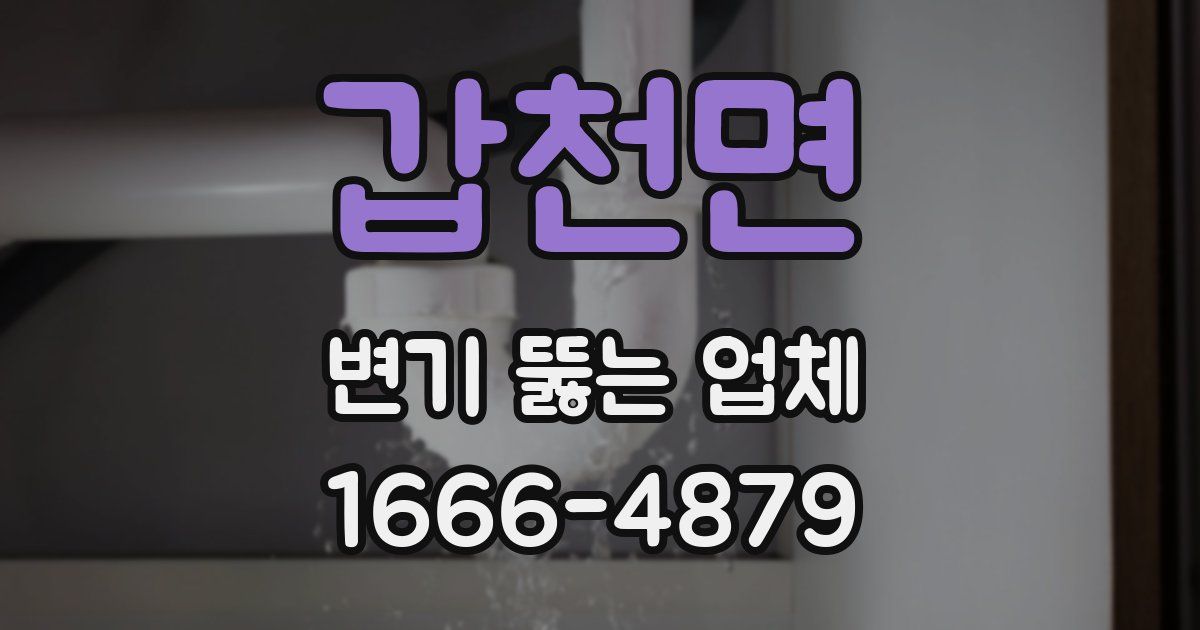 갑천면 변기 뚫는 업체