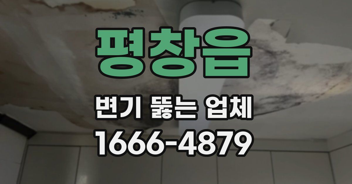 평창읍 변기 뚫는 업체