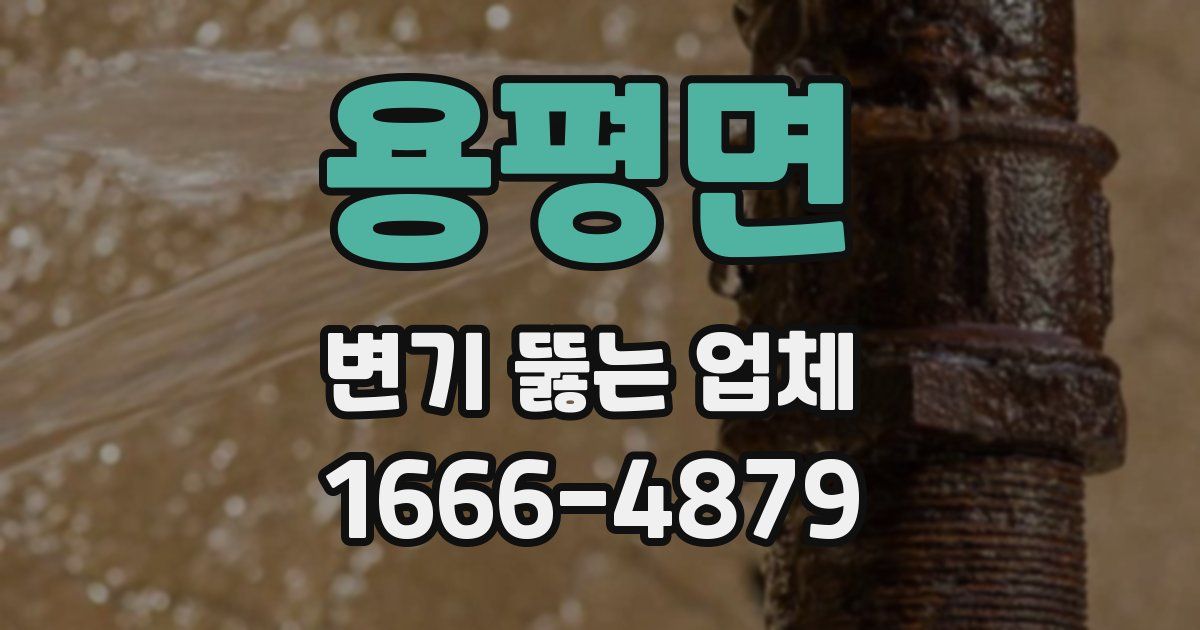 용평면 변기 뚫는 업체