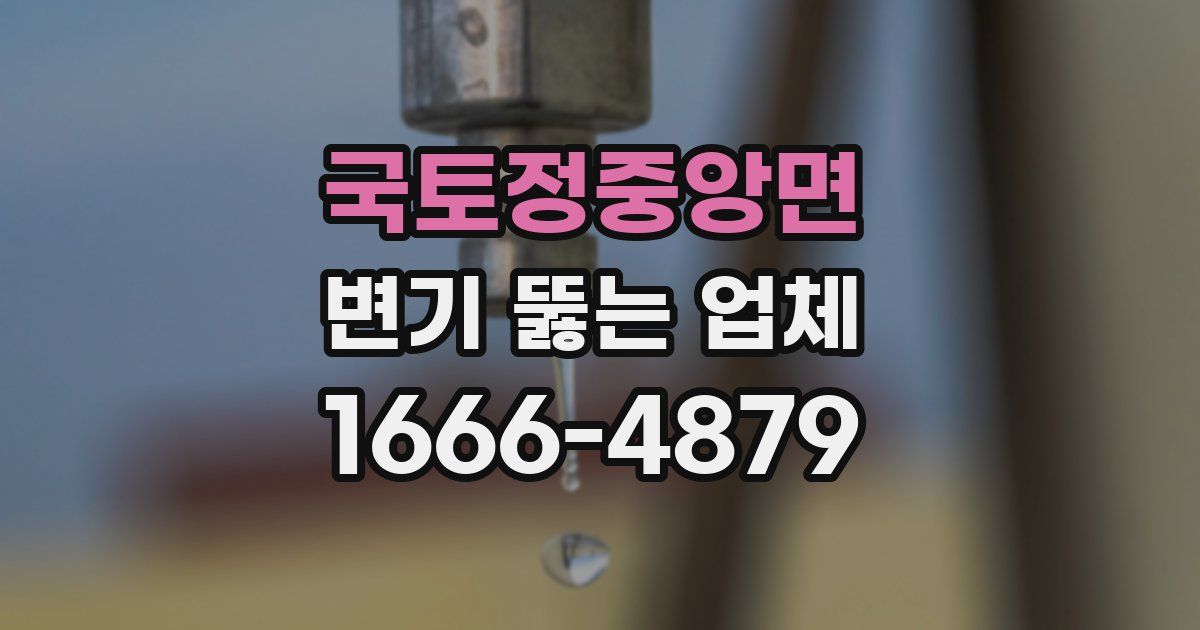 국토정중앙면 변기 뚫는 업체