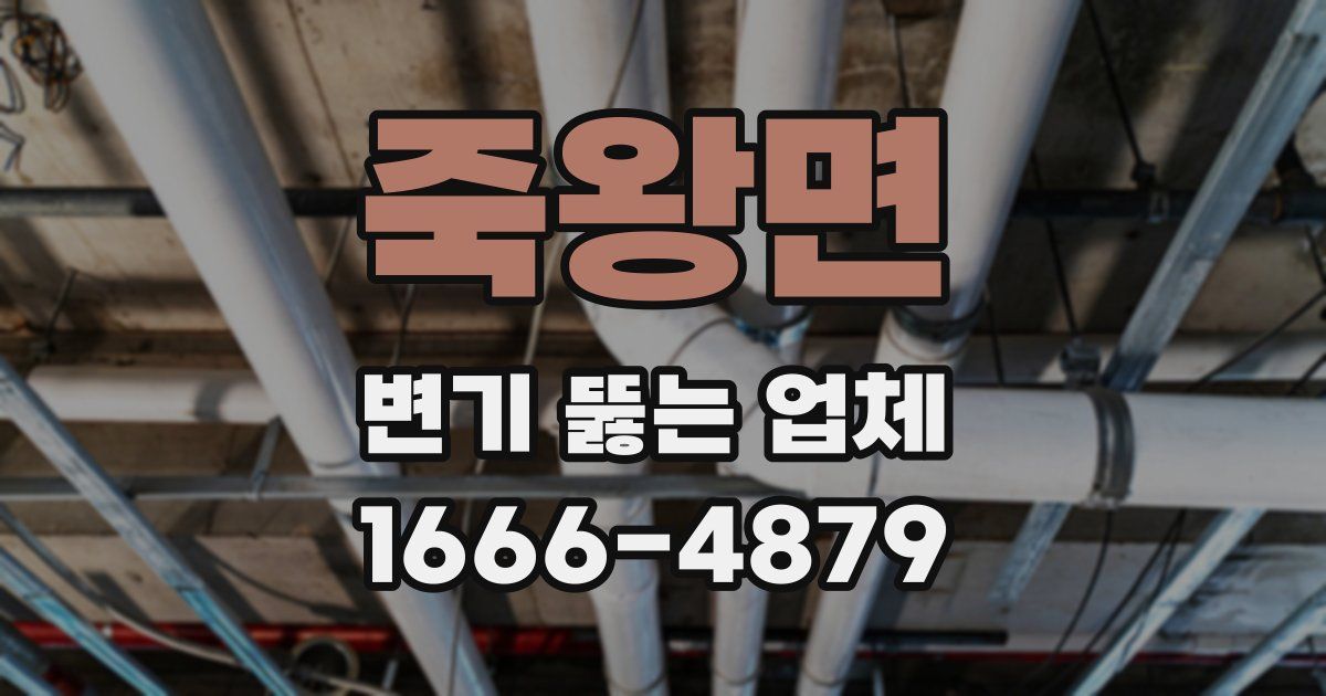죽왕면 변기 뚫는 업체