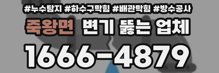 죽왕면 변기 뚫는 업체