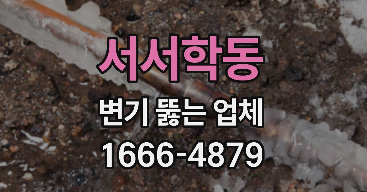 서서학동 변기 뚫는 업체